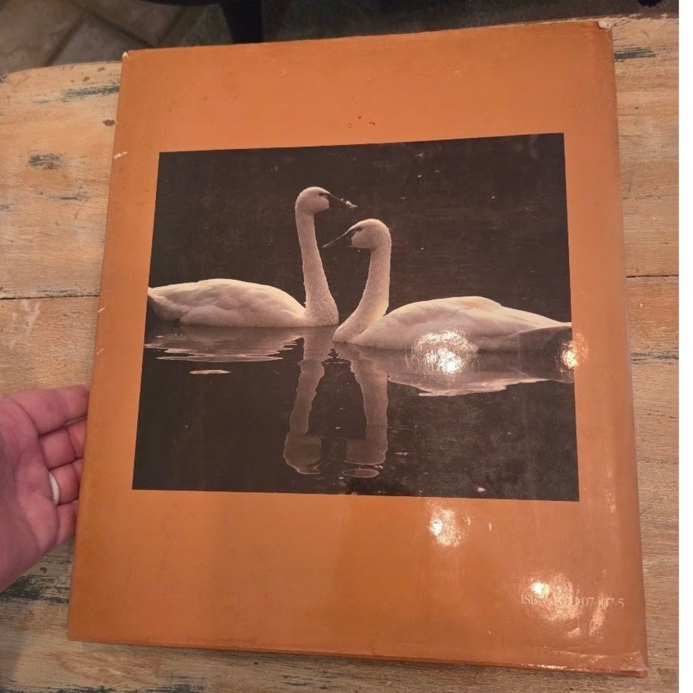 Birds of North America Peter N Casey Exeter Books Hardcover Photography Book - Picture 7 of 7